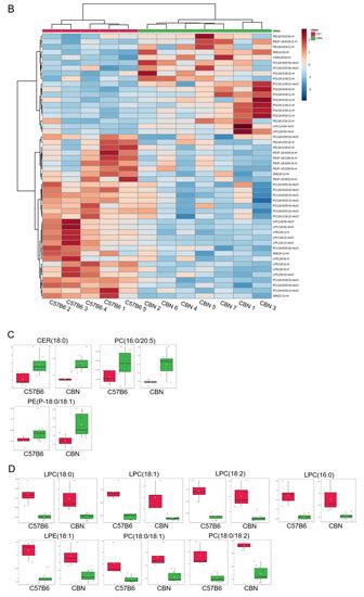 Biomedicines Free Full Text Decreased Marcks Protein Expression In