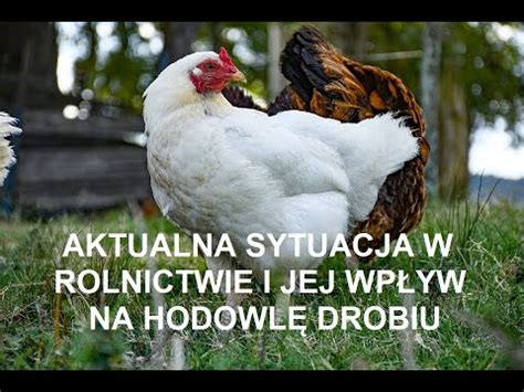 Odcinek Aktualna Sytuacja W Rolnictwie Wp Yw Na Hodowle Drobiu