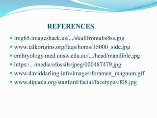 Sex Determination From Skull Remains PPT