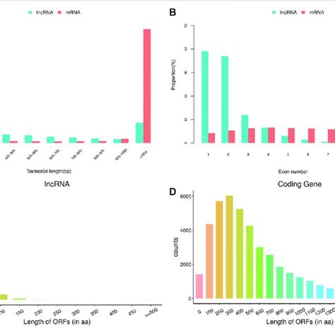 The Basic Features Of Predicted Long Non Coding Rnas Lncrnas And