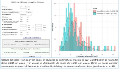 El Hallazgo Casual De Calcificaci N Coronaria En Tomograf A