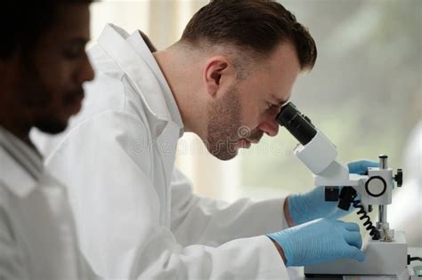 Lab Technician Analyzing A Blood Sample Stock Image Image Of