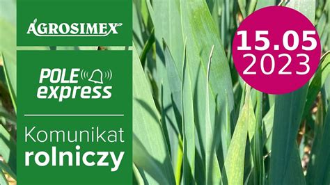 Zabieg T W Pszenicy Ozimej Pole Express Agrosimex Youtube