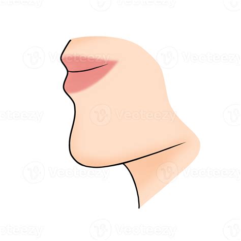 Chin Body Part Cartoon Illustration 22990979 Png