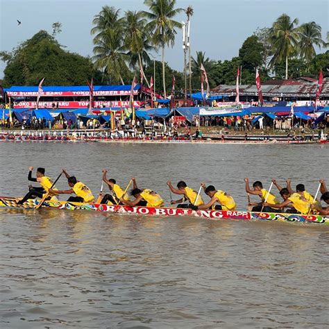 Goriau Komit Lestarikan Budaya Kuansing Tahun Depan Pt Rapp