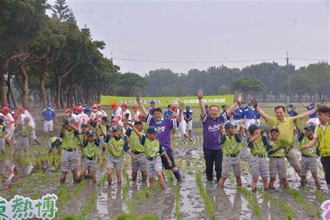 2021屏東熱博彩稻插秧活動 屏東農業強棒出擊 財經 工商