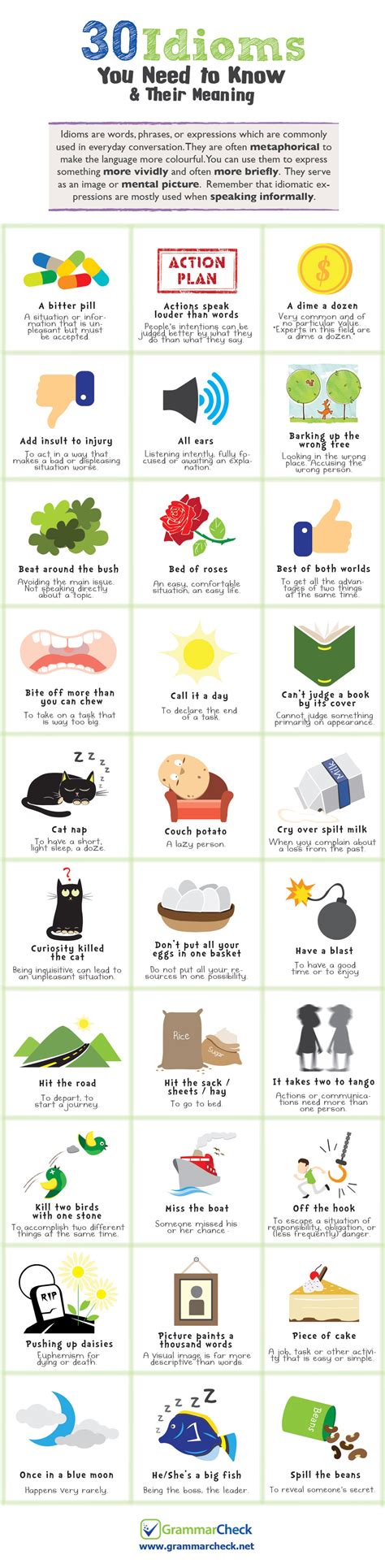 30 Idioms You Need To Know And Their Meaning Infographic