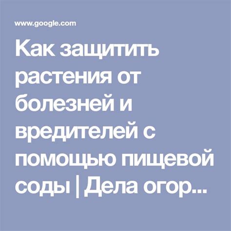 Как защитить растения от болезней и вредителей с помощью пищевой соды ...