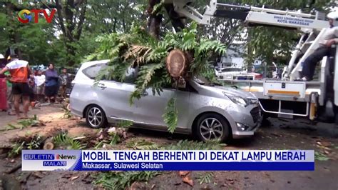 Pohon Tumbang Timpa Mobil Di Makassar Penumpang Dan Sopir Selamat