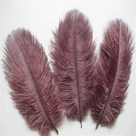 Hot 10 Pcs Natural 15 20cm 6 8 Inch Brown Color Ostrich Feathers