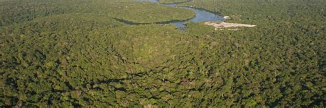 1230 cientistas pedem ação global para restaurar governança ambiental