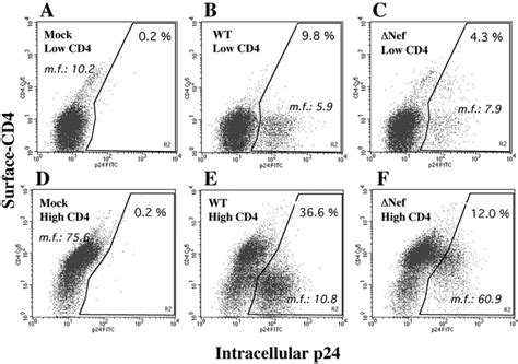 Infection Of Jurkat T Cells With Wild Type And Nef Deleted R7 HXB2