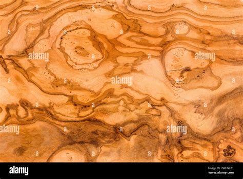 Olive Wood Texture Stock Photo Alamy