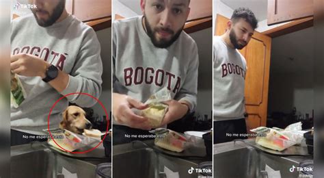 Tiktok Viral Quiso Grabar C Mo Hac A Su Cena Pero Perrito Aprovecha