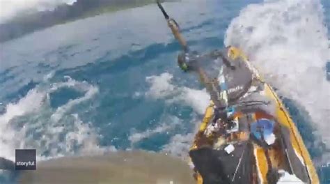 Fisherman captures intense footage of tiger shark attacking his kayak off Hawaii coast | Fox News