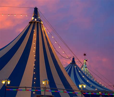 Royalty Free Circus Tent Pictures, Images and Stock Photos - iStock