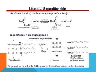 Aceites Grasas Y La Saponificaci N Ppt