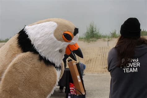 todays weather queens 3