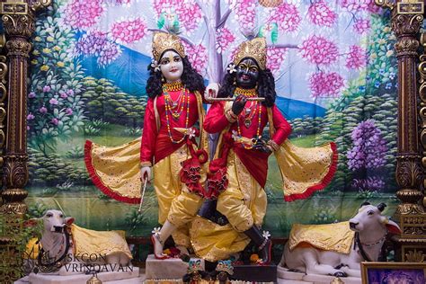 Iskcon Vrindavan Gaura Nitai Background HD Wallpaper Pxfuel