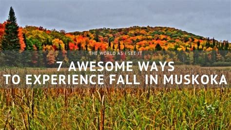 Fall Tastic Things To Do In Fall In Muskoka To Experience The Fall