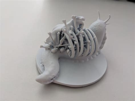 Bone Whelk Miniature Etsy