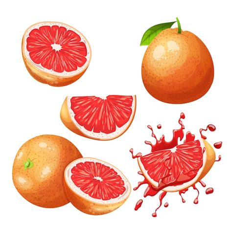 Ilustración de vector de dibujos animados conjunto fresco de fruta de