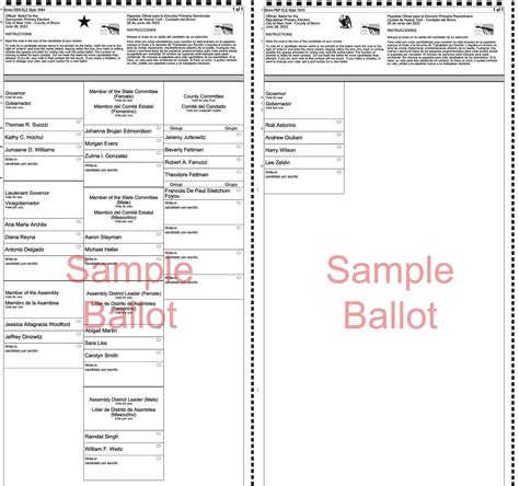 Be Ready To Cast Your Ballot For The June 28 Primary The Riverdale