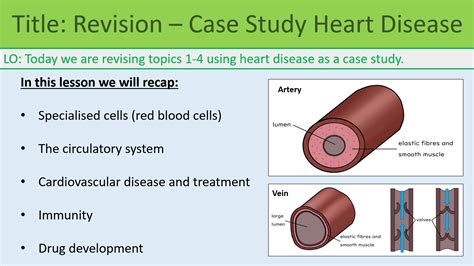 Revision Bioenergetics (topic 4) GCSE Biology AQA | Teaching Resources