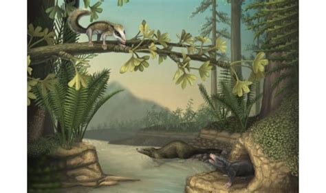 How Early Mammals Adapted In An Age Of Dinosaurs Asian Scientist Magazine