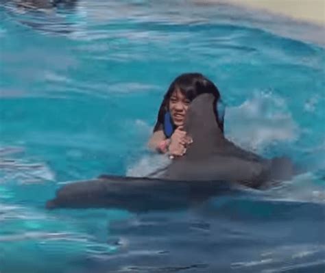 Dolphin Swim Panama City Beach Swimming With Dolphins 1 800 667 5524