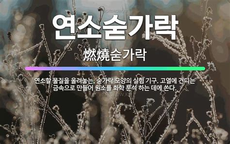 🌟연소숟가락 연소할 물질을 올려놓는 숟가락 모양의 실험 기구 고열에 견디는 금속으로 만들어 원소를 화 표준국어대사전