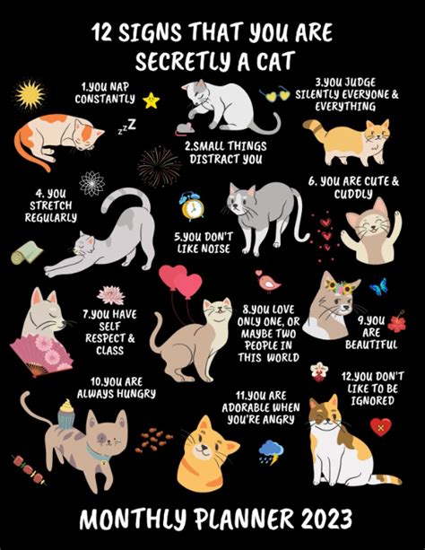 12 Signs That You Are Secretly A Cat Monthly Planner 2023 Press Secret Signs Books