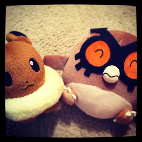 Pokemon Gets: Eevee pokedoll and Hoothoot plush by jessyistired on DeviantArt