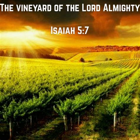 Gods Vineyard | Unashamed of Jesus