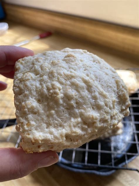 Cottage Cheese Biscuits My Bizzy Kitchen