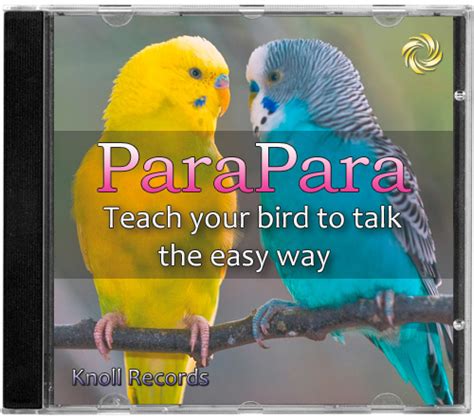 Listen To Parakeet Sounds