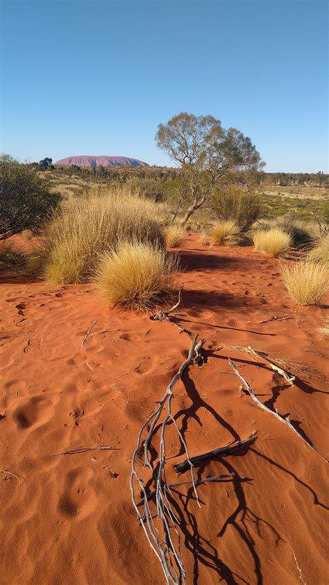 Visiter Ayers Rock Uluru Le rocher sacré d Australie