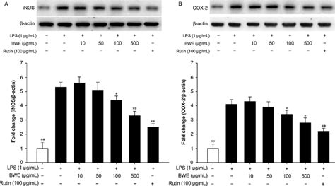 Inos And Cox 2 Expression Raw2647 Cells Were Pre Treated With Samples