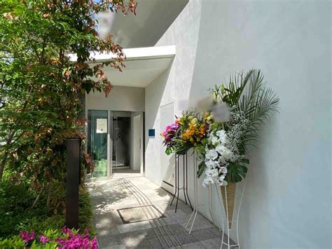 Tree By Naked Meiji Park