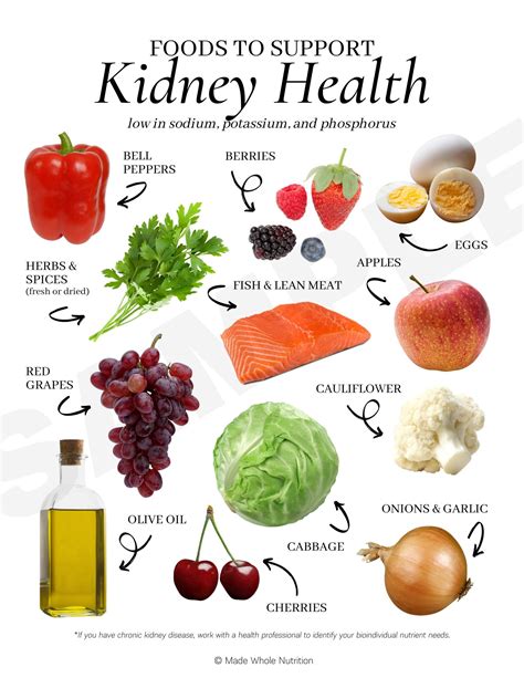 Foods To Support Kidney Health Handout Functional Health Research