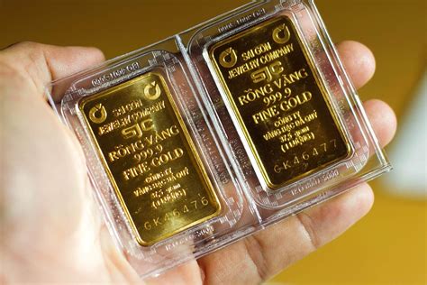 Giá Cà Phê Hôm Nay: Cập Nhật Biến Động Mới Nhất Trên Thị Trường