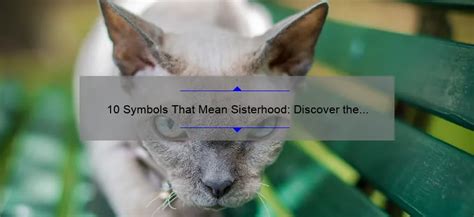 10 Symbols That Mean Sisterhood: Discover the Meaning Behind These Powerful Symbols [Keyword ...