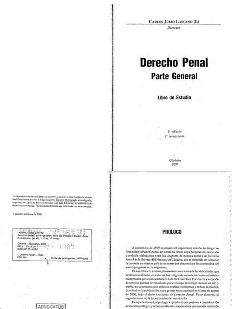 Derecho Penal Parte General Carlos Lascano Pdf Pdf Derecho