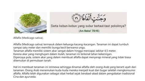 BUAH BUAHAN DALAM AL QURAN PPT