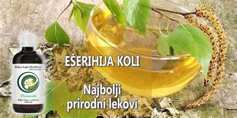 Najbolji Prirodni Lekovi Za E Erihiju Koli Mediflora