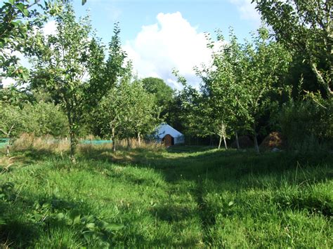 Looking Down The Orchard Meadow To Drift Wood Yurt Glamping In