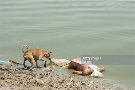 An Unidentified Dead Body In Varanasi In The Northern Indian State