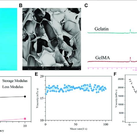 Physicochemical Properties Of The Methacrylated Gelatin Gelma