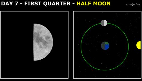 Phases of the Moon | Moon | Interactions | Space FM