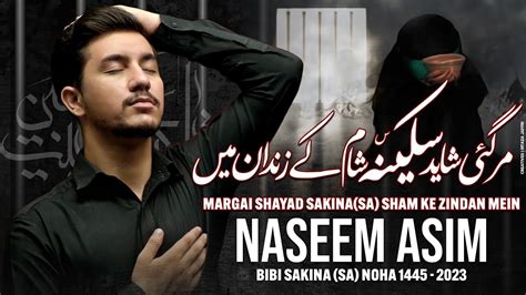 Mar Gai Shayad Sakeena Sham Ke Zindan Mein New Noha Bibi Sakeena By